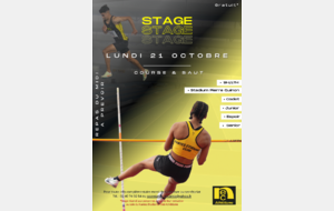 Stage d'automne en salle