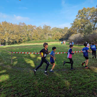 Cross de Couëron 2024